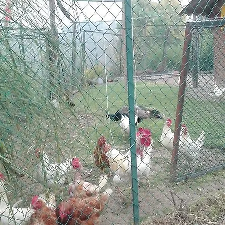 Tenuta La Violina Άστι