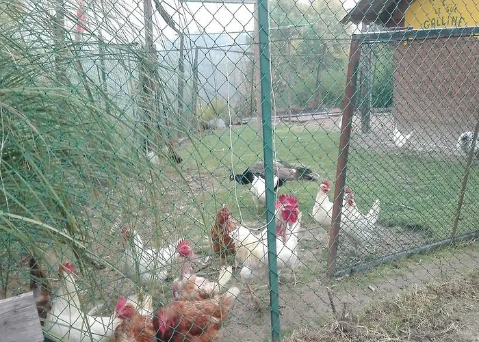 Tenuta La Violina Asti